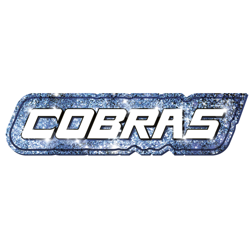 COBRAS Bag