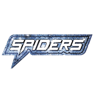 Spiders Bag