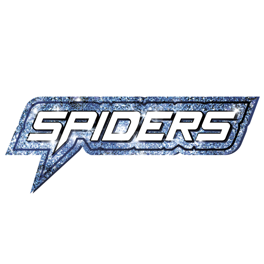 Spiders Bag