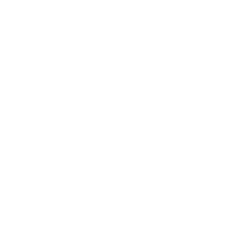 TIIF Linedance Bag